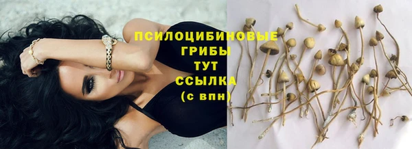 mix Баксан