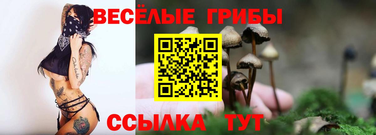 Каспийск  Псилоцибиновые грибы Psilocybe  как найти закладки  Вход с VPN 